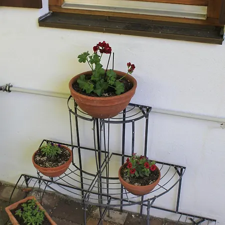 Apartment Echerschwang