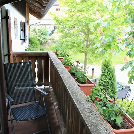 Echerschwang Apartment *